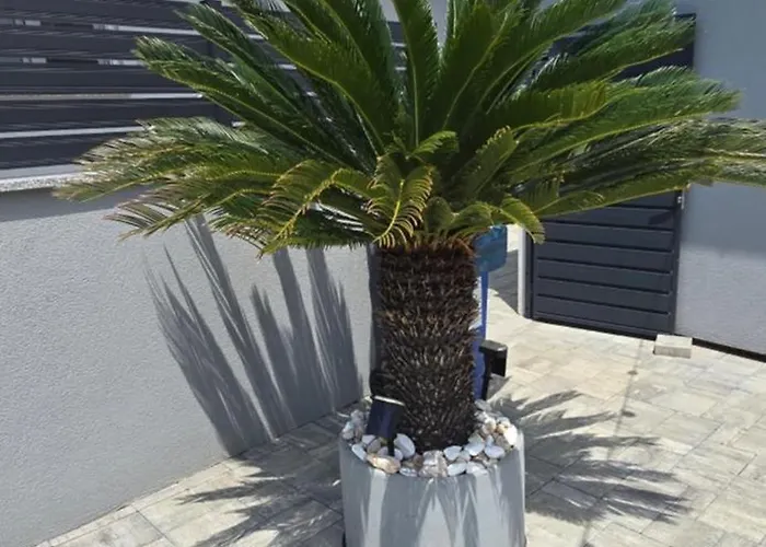 House Vallis Aurea Appartement Povile