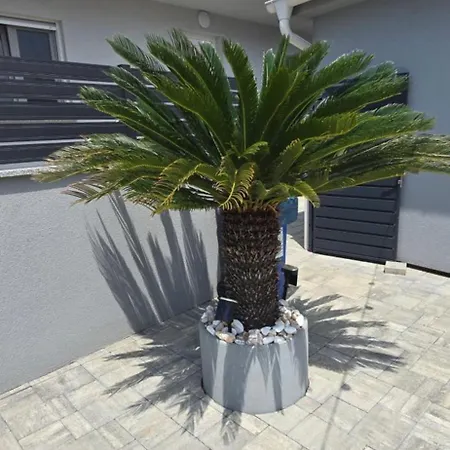 House Vallis Aurea Apartment Povile